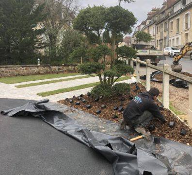 Massifs_Matex Environnement_Paysagiste_Flers
